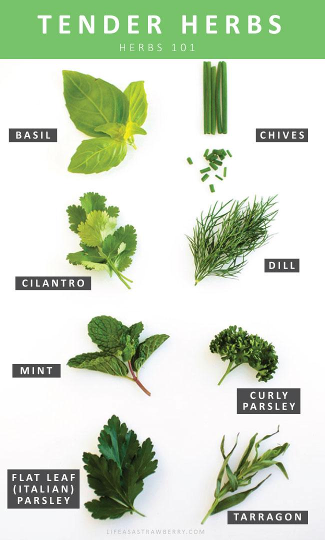 - From ⁤Garden ⁤to Table: Using Fresh‌ Herbs ⁢in Family Salads