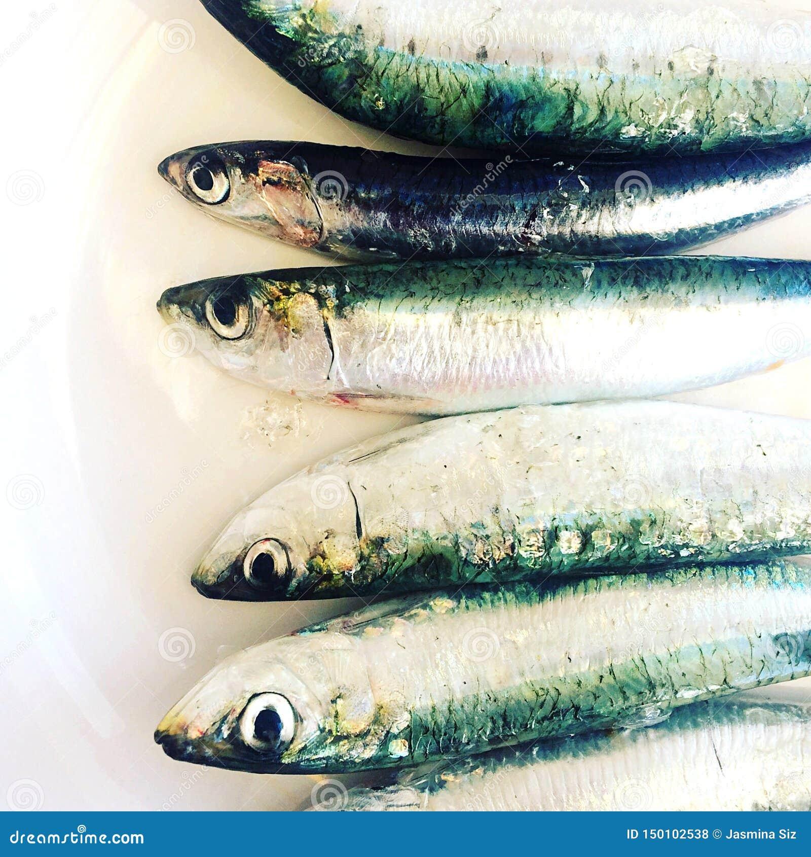 Incorporating Nutrient-Rich Fish into Your Familys Diet