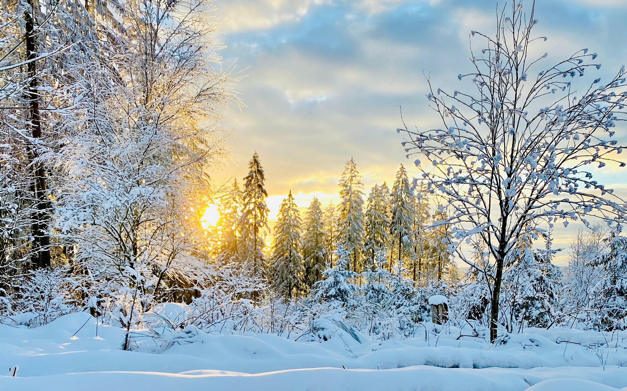 Discover the⁢ Ultimate Winter Warmth in a Bowl